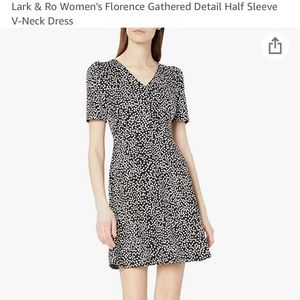 Lark & Ro Florence gathered detail v neck dress. New-never worn
